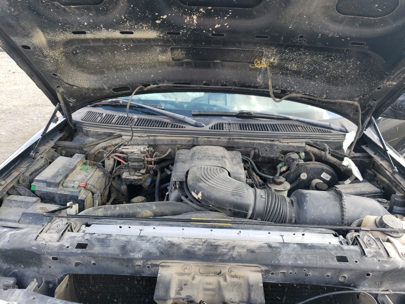 Photo 7 from auction – 1998 FORD F150 with VIN 1FTDX1767WNA11974