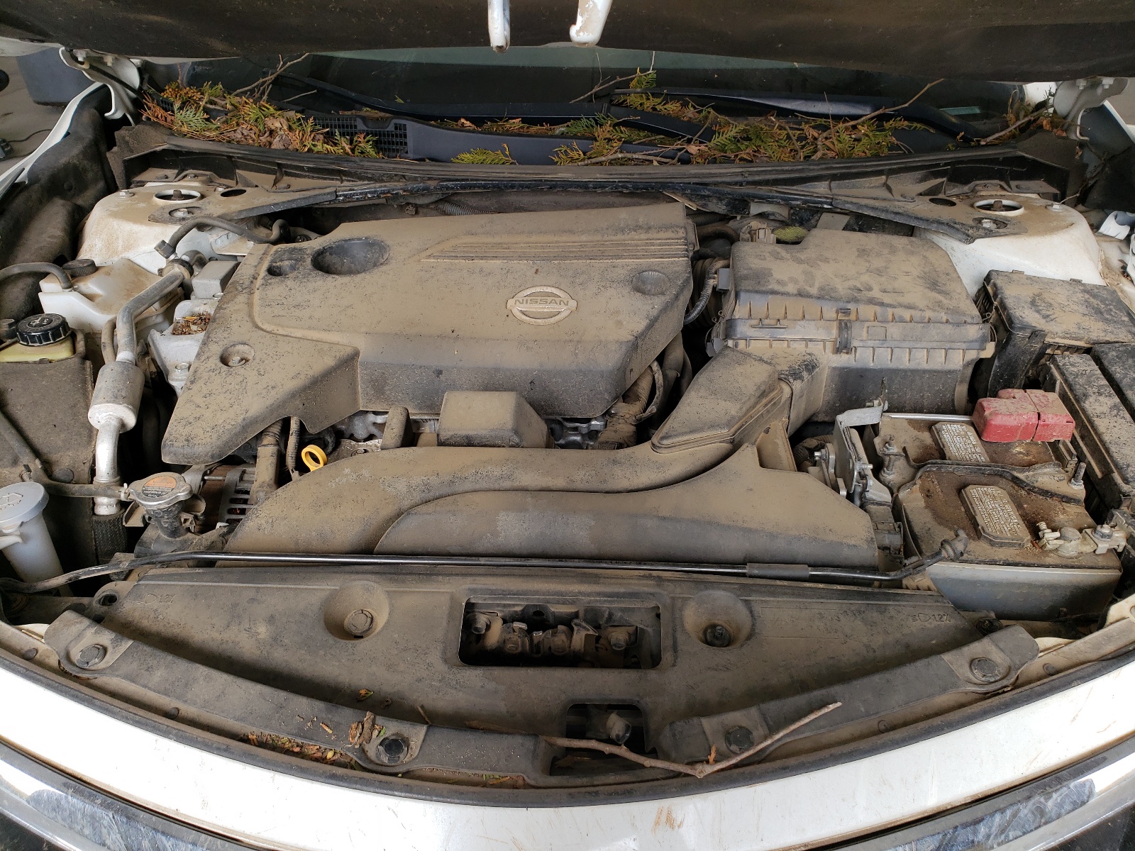 Photo 7 from auction – 2014 NISSAN ALTIMA 2.5 with VIN 1N4AL3AP9EN383428