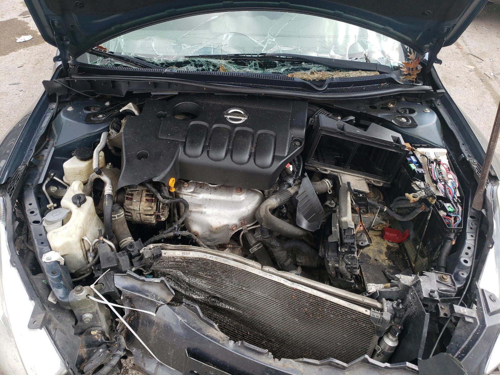 Photo 7 from auction – 2011 NISSAN ALTIMA BAS with VIN 1N4AL2AP4BC134651
