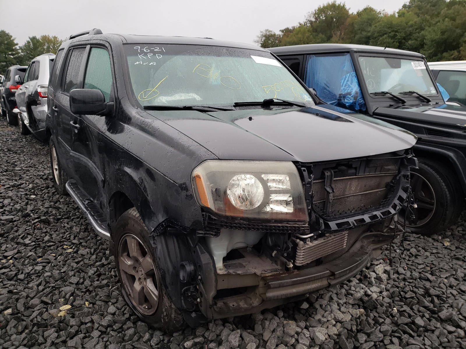 HONDA PILOT 2011 with VIN 5FNYF4H66BB096349 - Photo from auction