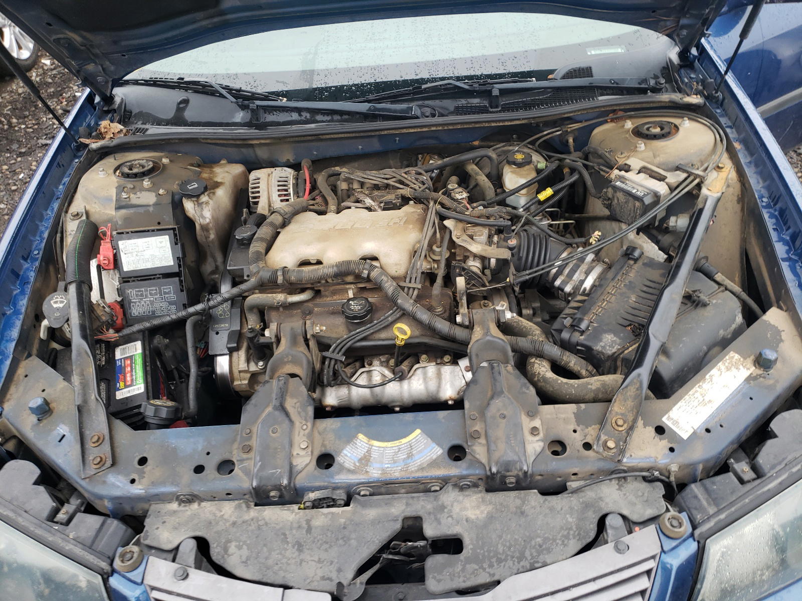 Photo 7 from auction – 2004 CHEVROLET IMPALA with VIN 2G1WF52EX49194426