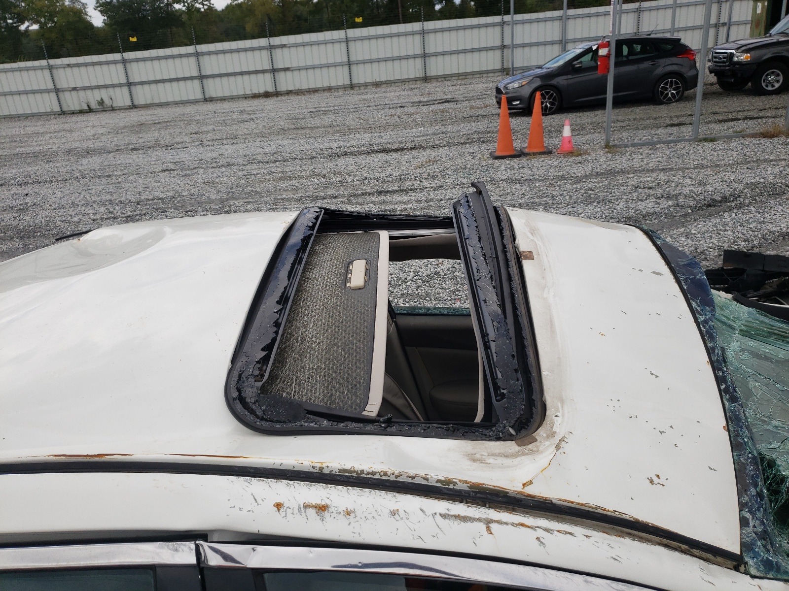 Photo 9 from auction – 2009 NISSAN MAXIMA S with VIN 1N4AA51E39C802889