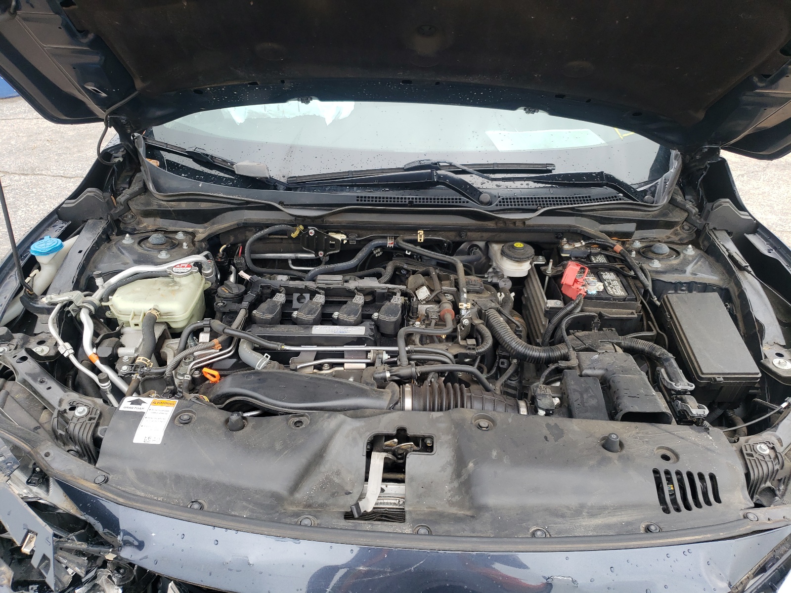 Photo 7 from auction – 2017 HONDA CIVIC EX with VIN 2HGFC1F31HH631292