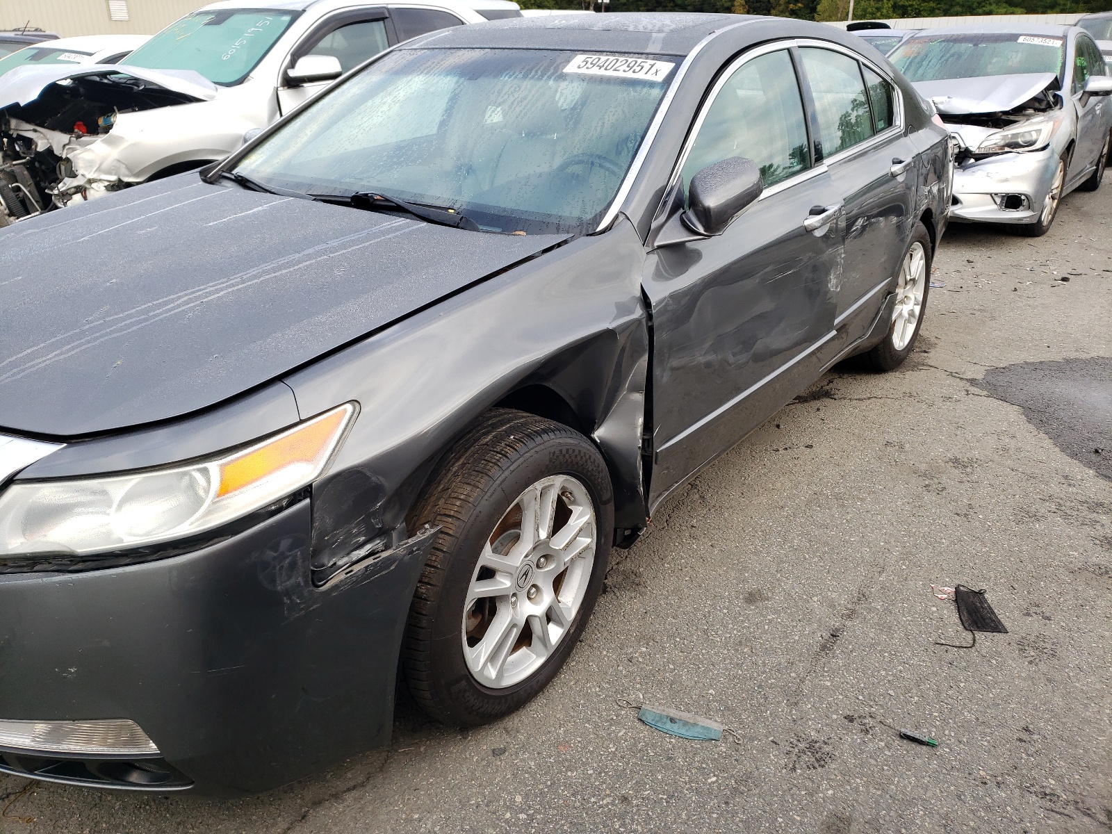 Photo 9 from auction – 2009 ACURA TL with VIN 19UUA86509A003022