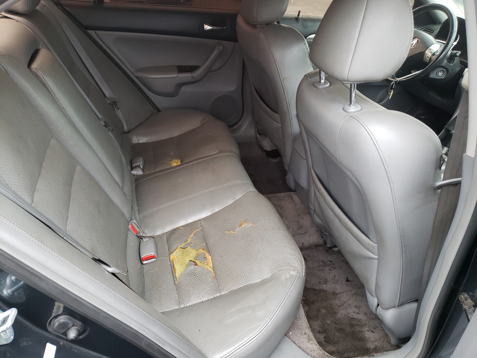 Photo 6 from auction – 2004 ACURA TSX with VIN JH4CL96904C023473