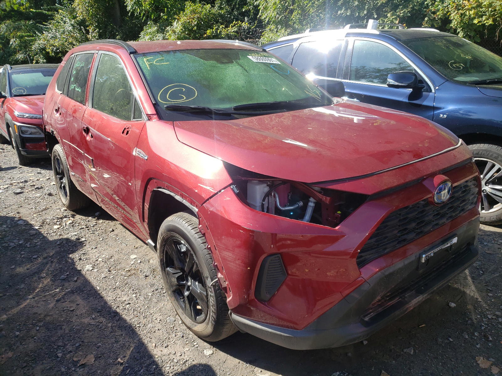 TOYOTA RAV4 LE 2021 with VIN JTML6RFV1MD013213 - Photo from auction