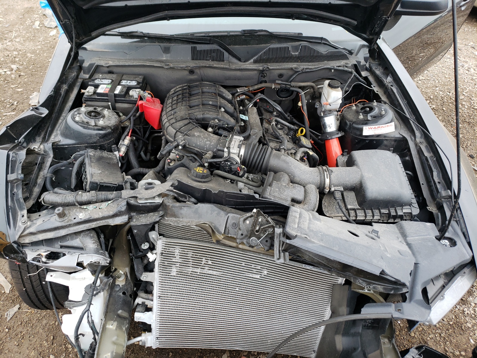 Photo 7 from auction – 2014 FORD MUSTANG with VIN 1ZVBP8AM4E5216851