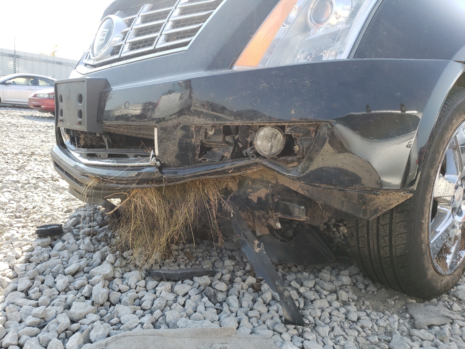 Photo 9 from auction – 2015 CADILLAC SRX PREMIU with VIN 3GYFNGE36FS547759