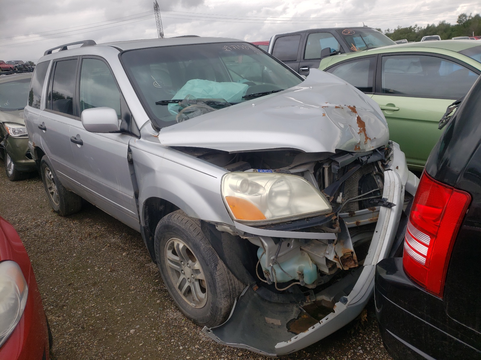 HONDA PILOT EXL 2004 with VIN 2HKYF18684H581398 - Photo from auction