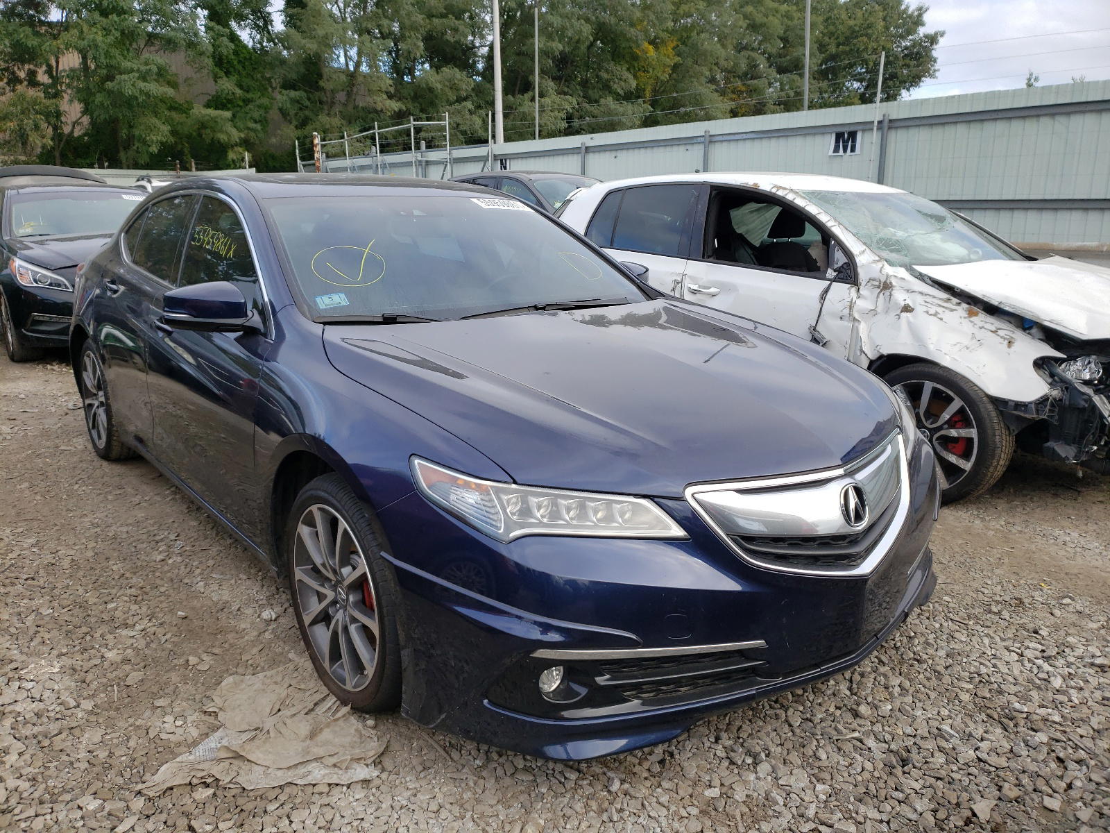 ACURA TLX TECH 2016 with VIN 19UUB3F56GA004530 - Photo from auction