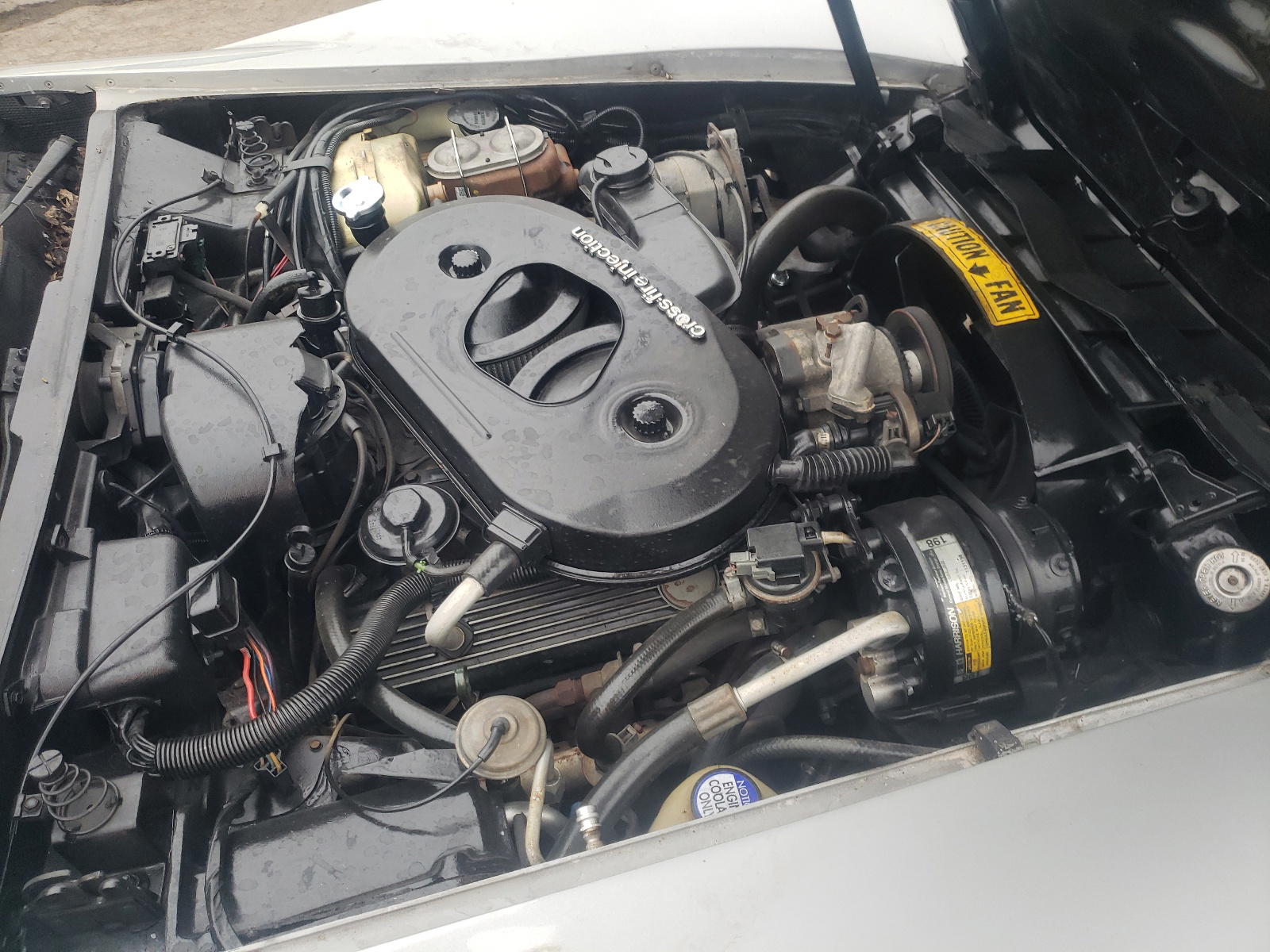 Photo 7 from auction – 1982 CHEVROLET CORVETTE with VIN 1G1AY8781C5116444