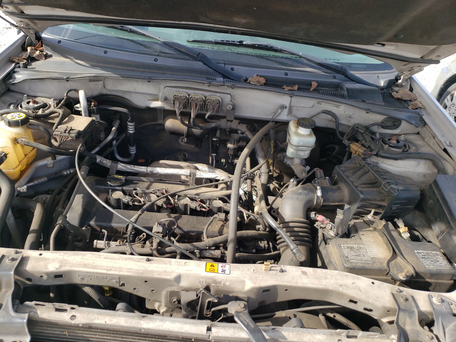 Photo 7 from auction – 2006 FORD ESCAPE XLT with VIN 1FMYU03ZX6KD47751