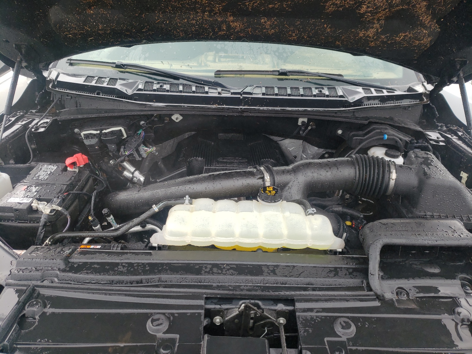 Photo 7 from auction – 2019 FORD F150 SUPER with VIN 1FTEW1E48KFC17169