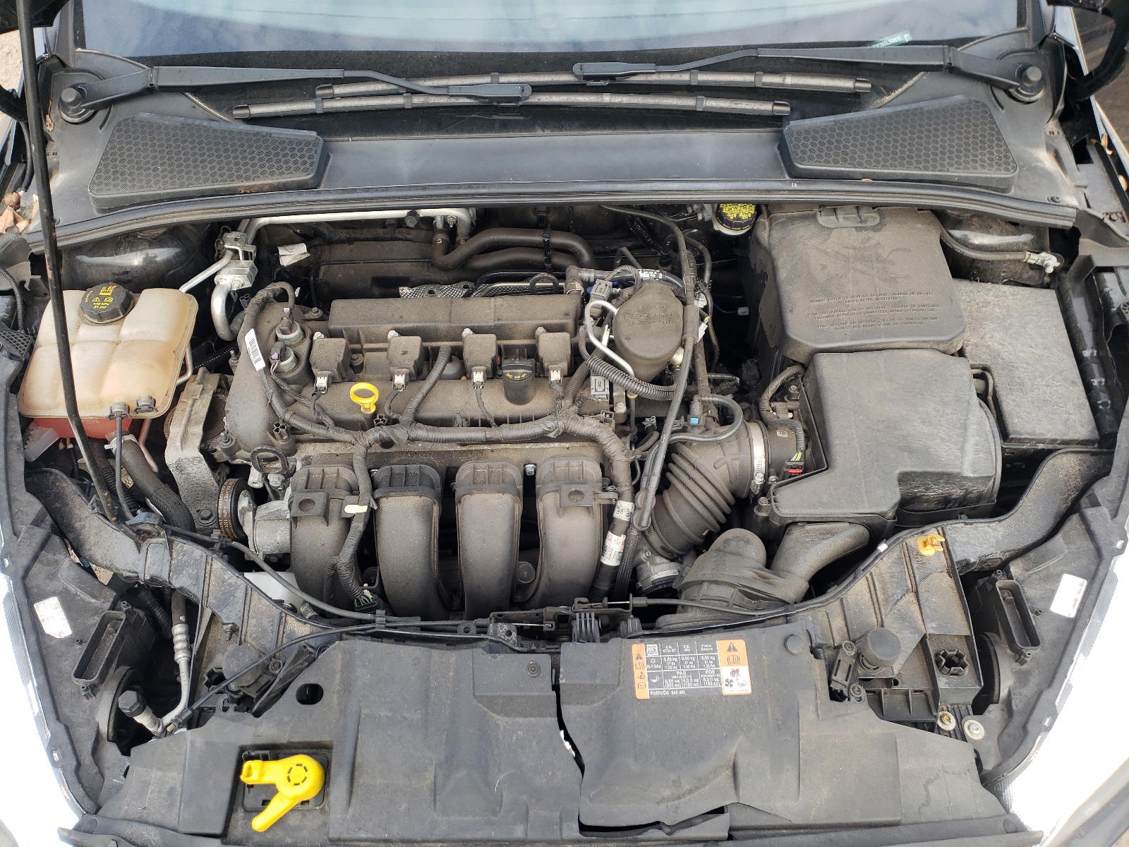 Photo 7 from auction – 2016 FORD FOCUS SE with VIN 1FADP3F26GL266872