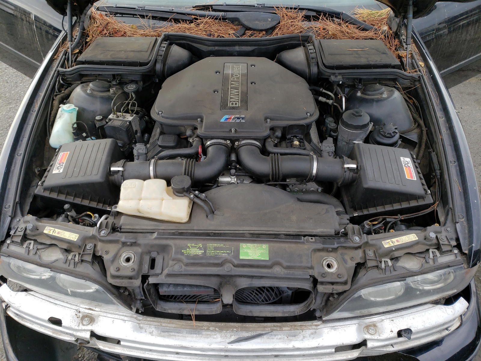 Photo 7 from auction – 2003 BMW M5 with VIN WBSDE93493CF93216