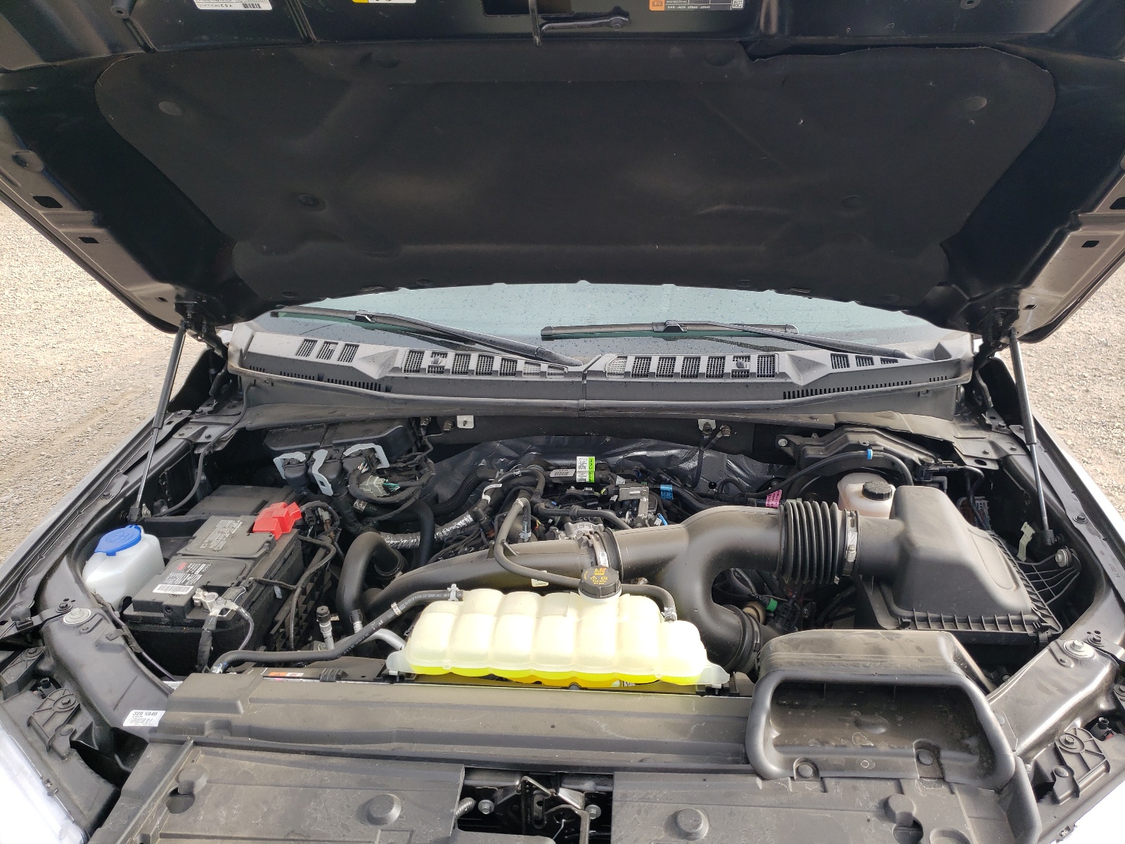 Photo 7 from auction – 2020 FORD F150 SUPER with VIN 1FTEW1EP7LKD24555