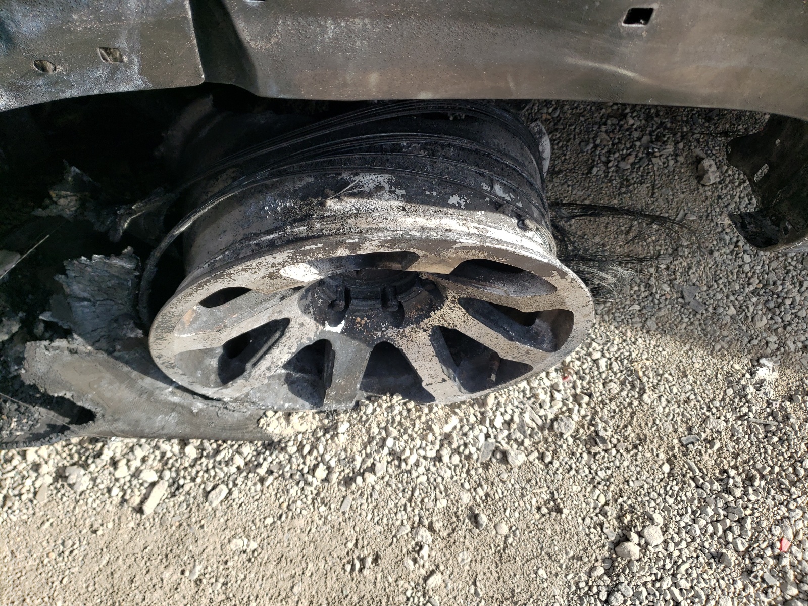 Photo 10 from auction – 2020 TOYOTA 4RUNNER SR with VIN JTEBU5JR7L5797972