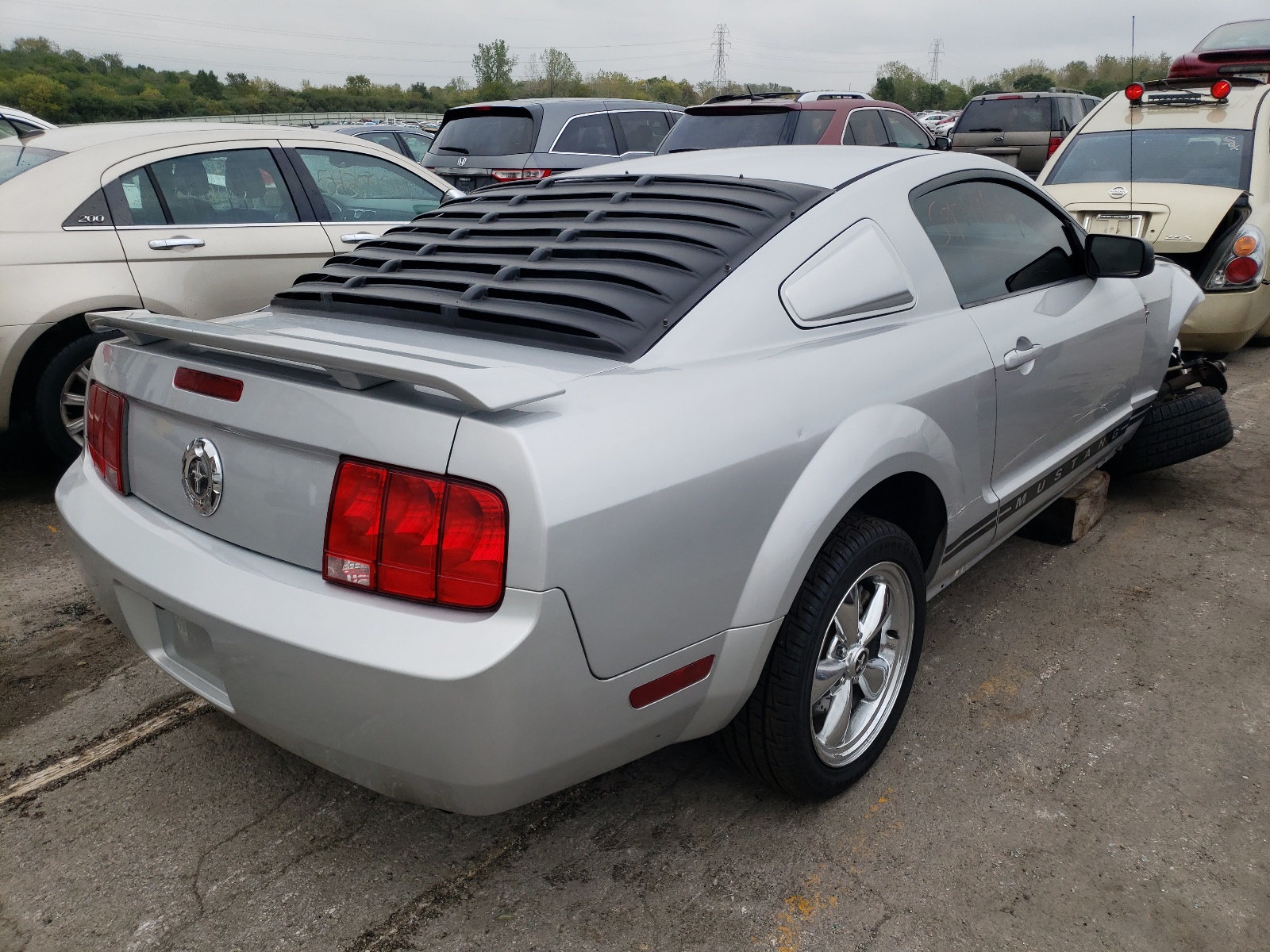 Photo 4 from auction – 2005 FORD MUSTANG with VIN 1ZVFT80N855126187