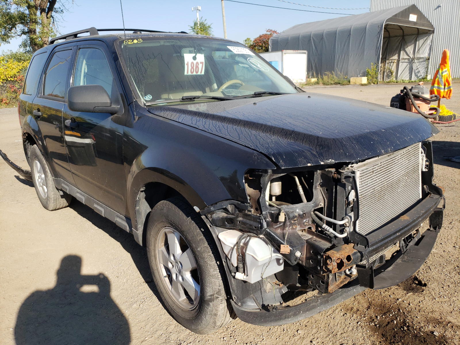 FORD ESCAPE XLT 2010 with VIN 1FMCU9D78AKB26153 - Photo from auction