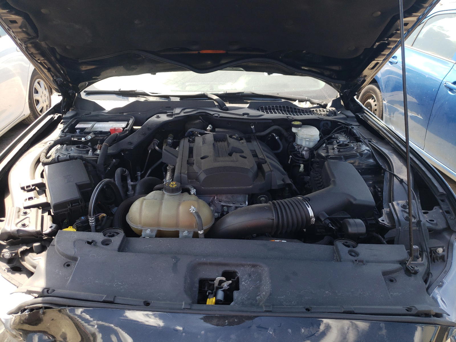 Photo 7 from auction – 2017 FORD MUSTANG with VIN 1FA6P8TH8H5249138
