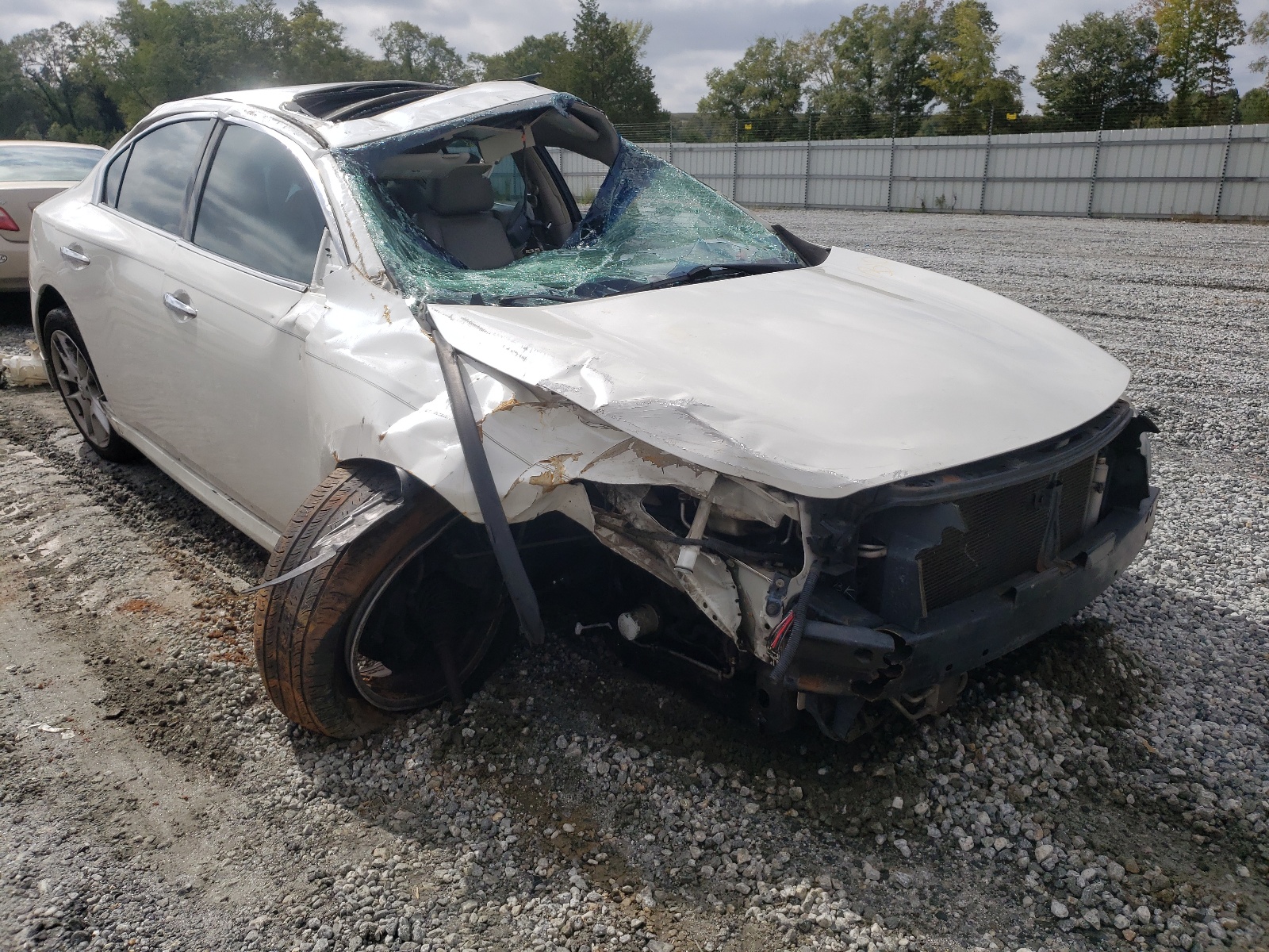 NISSAN MAXIMA S 2009 with VIN 1N4AA51E39C802889 - Photo from auction