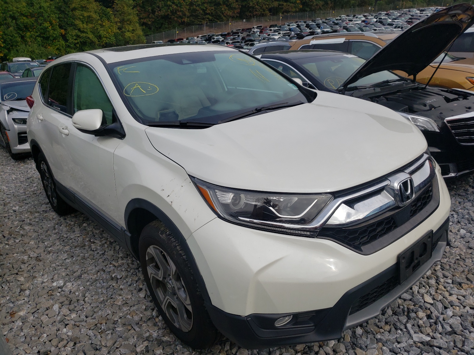 HONDA CR-V EX 2017 with VIN 2HKRW2H55HH635733 - Photo from auction
