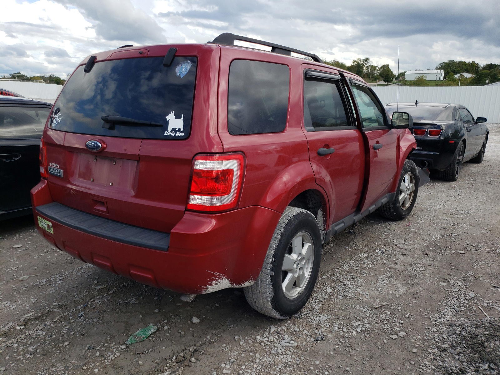 Photo 4 from auction – 2010 FORD ESCAPE XLT with VIN 1FMCU0D76AKA42201