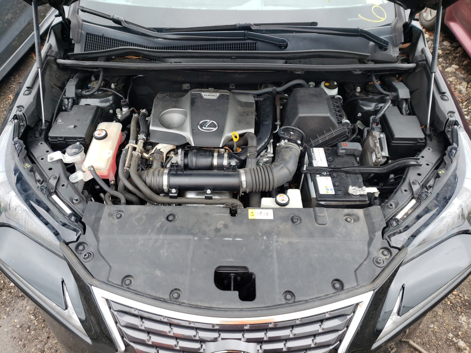 Photo 7 from auction – 2019 LEXUS NX 300 BAS with VIN JTJBARBZ5K2189139