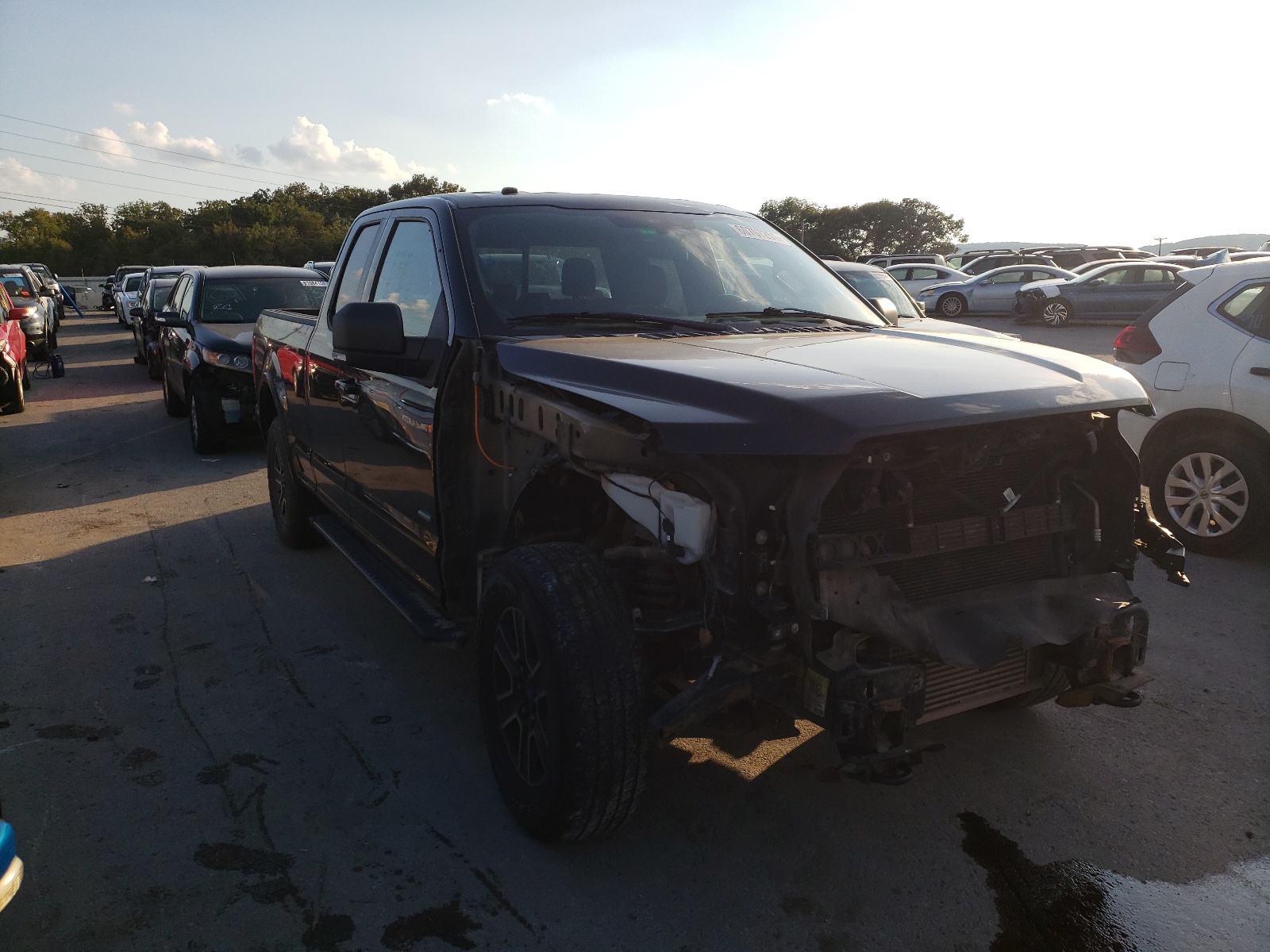 FORD F150 SUPER 2016 with VIN 1FTEX1EP9GFB97965 - Photo from auction