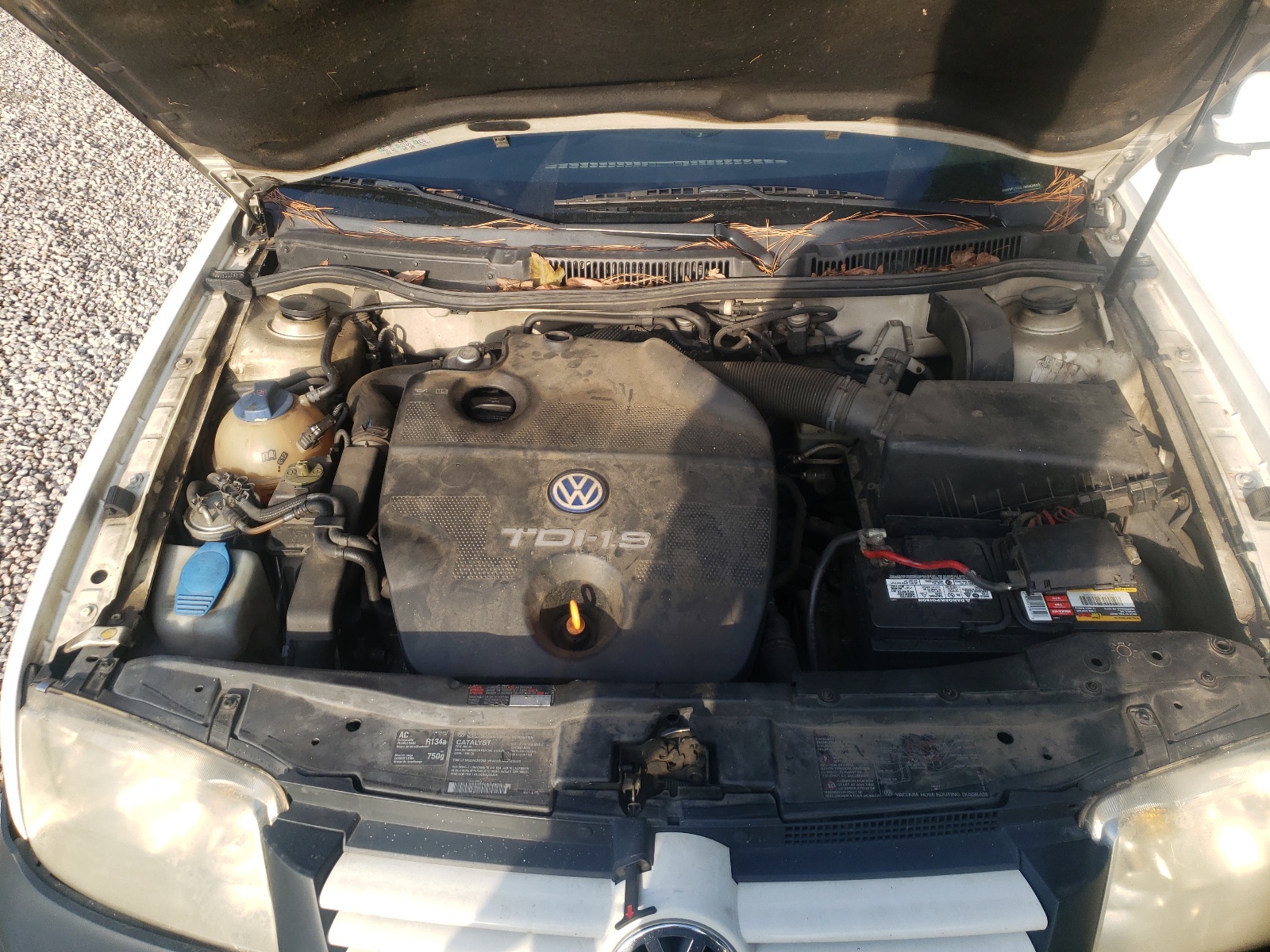 Photo 7 from auction – 2001 VOLKSWAGEN JETTA GLS with VIN 3VWSP29M21M043899