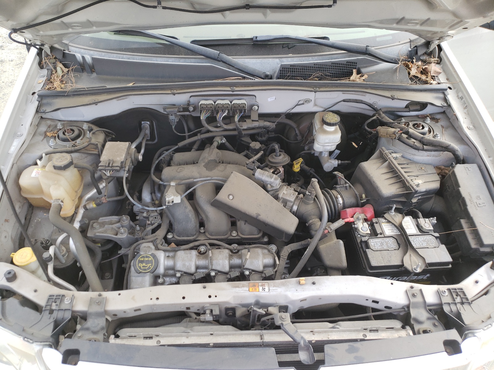 Photo 7 from auction – 2008 FORD ESCAPE XLT with VIN 1FMCU93128KB68518