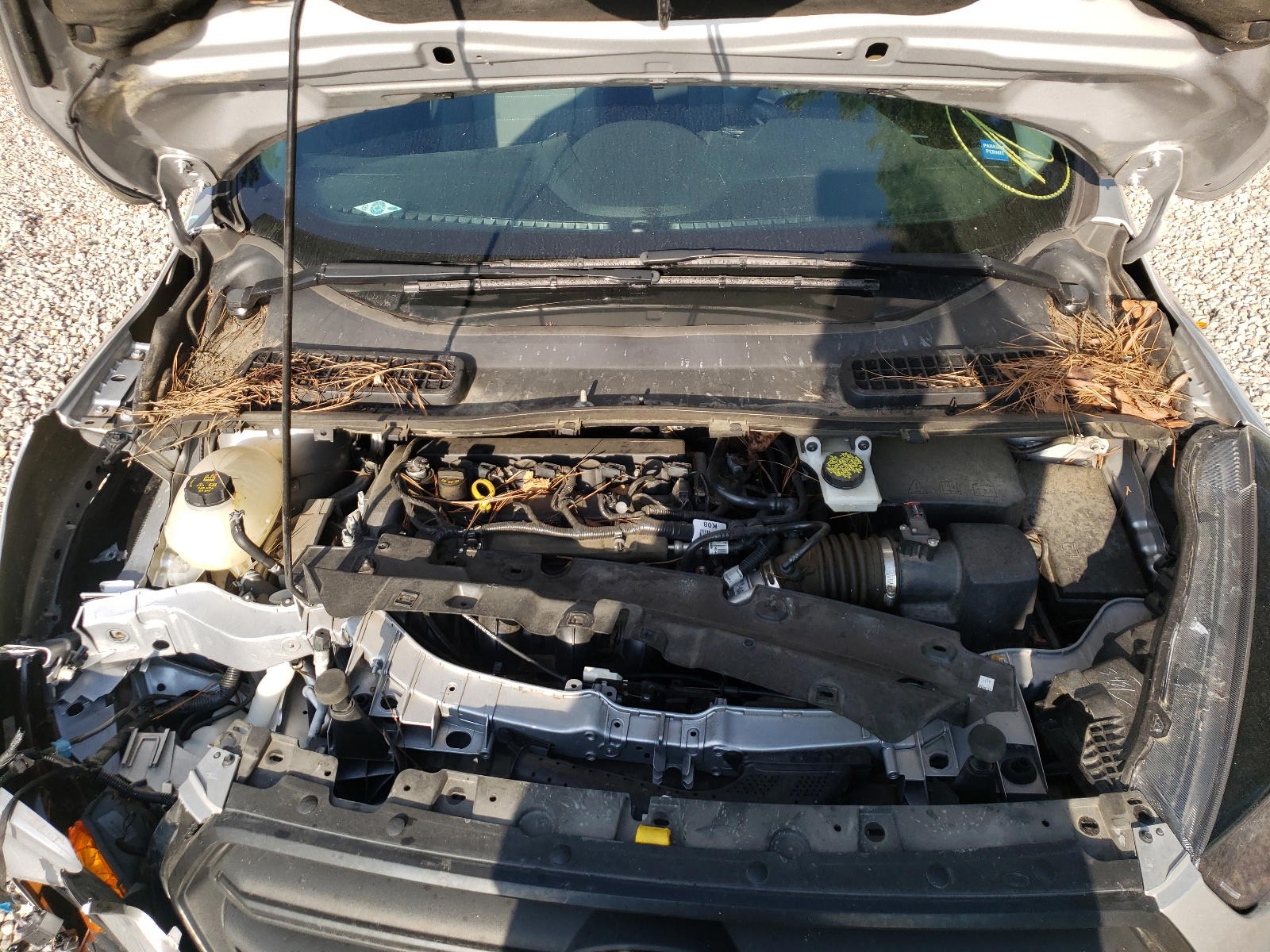 Photo 7 from auction – 2018 FORD ESCAPE S with VIN 1FMCU0F77JUB67449