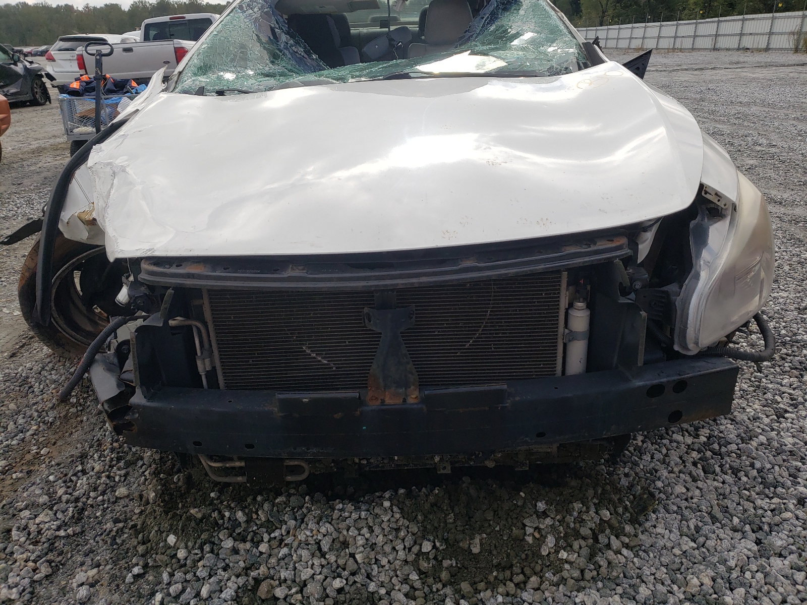 Photo 7 from auction – 2009 NISSAN MAXIMA S with VIN 1N4AA51E39C802889