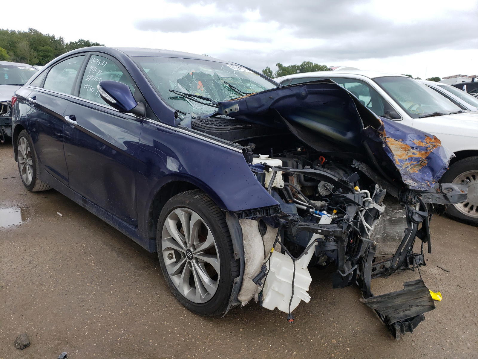 HYUNDAI SONATA SE 2014 with VIN 5NPEC4AC3EH851538 - Photo from auction
