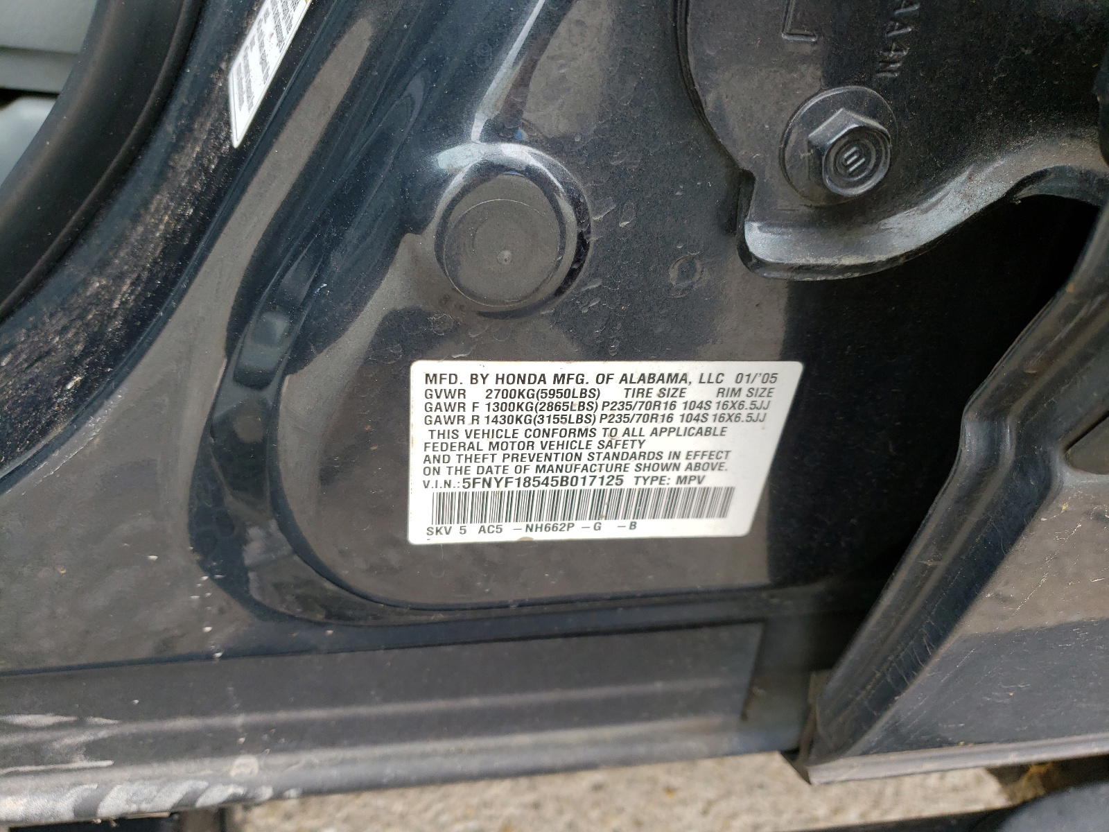 Photo 10 from auction – 2005 HONDA PILOT with VIN 5FNYF18545B017125