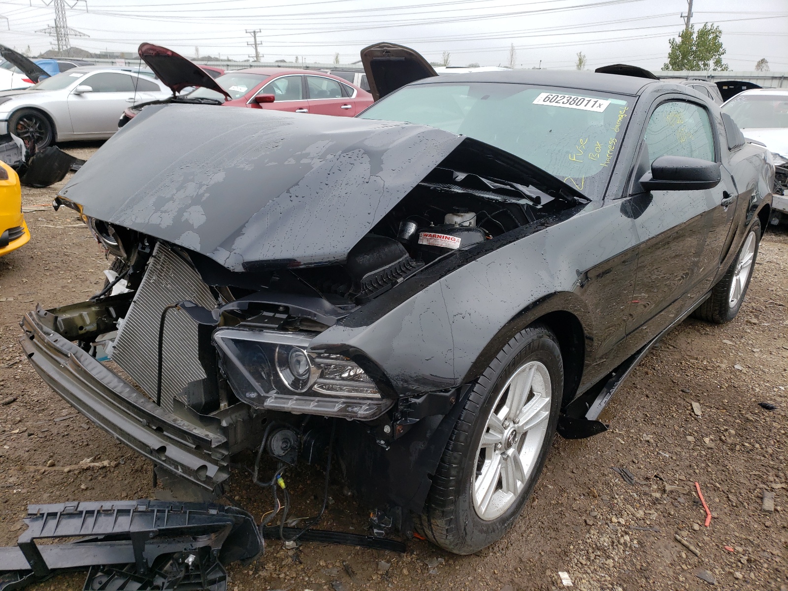 Photo 2 from auction – 2014 FORD MUSTANG with VIN 1ZVBP8AM4E5216851