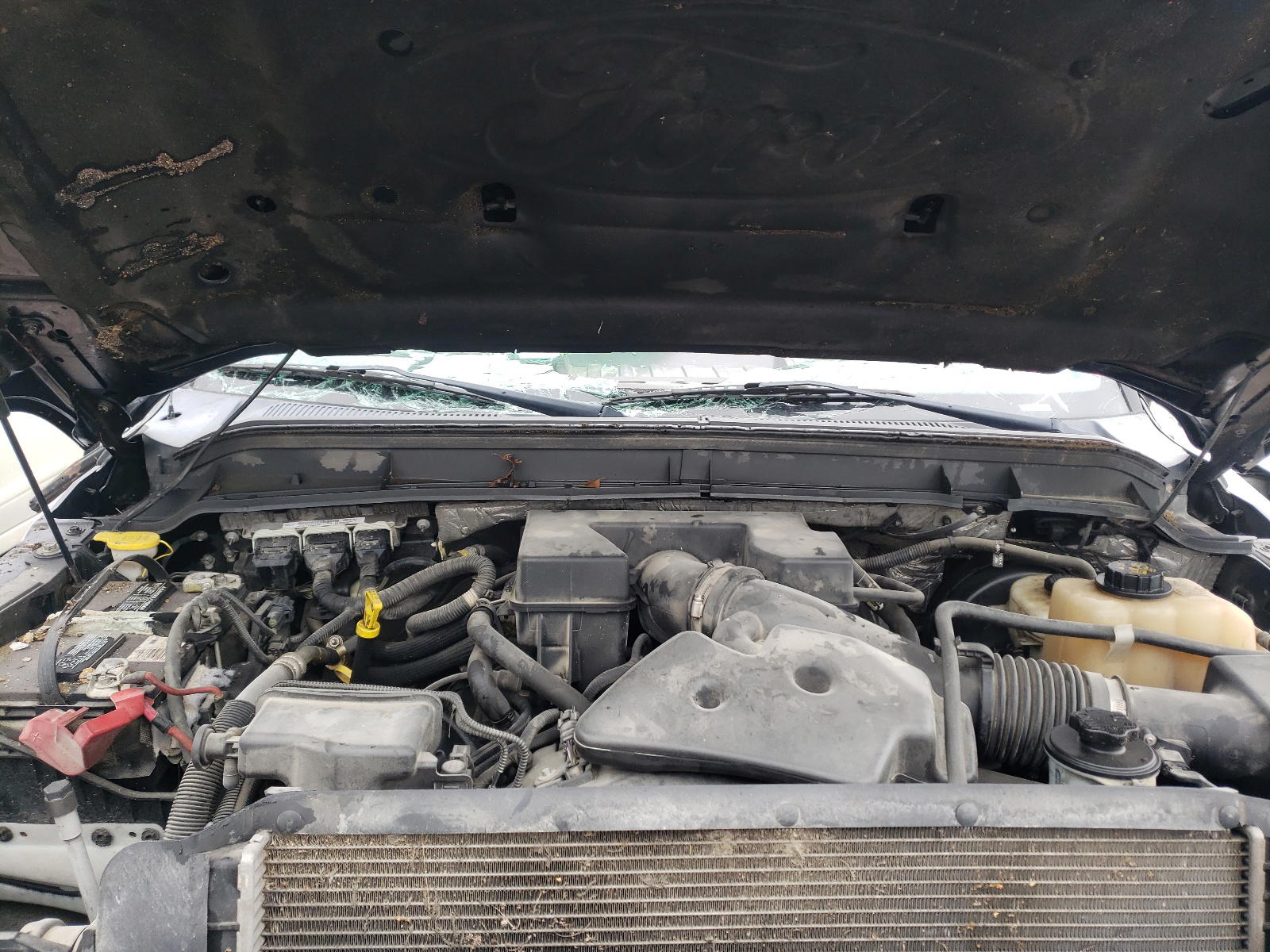 Photo 7 from auction – 2012 FORD F250 SUPER with VIN 1FT7W2B64CEB66863