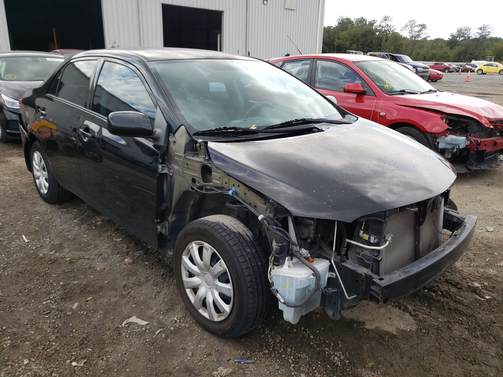 TOYOTA COROLLA XL 2010 with VIN 2T1BU4EE1AC517260 - Photo from auction