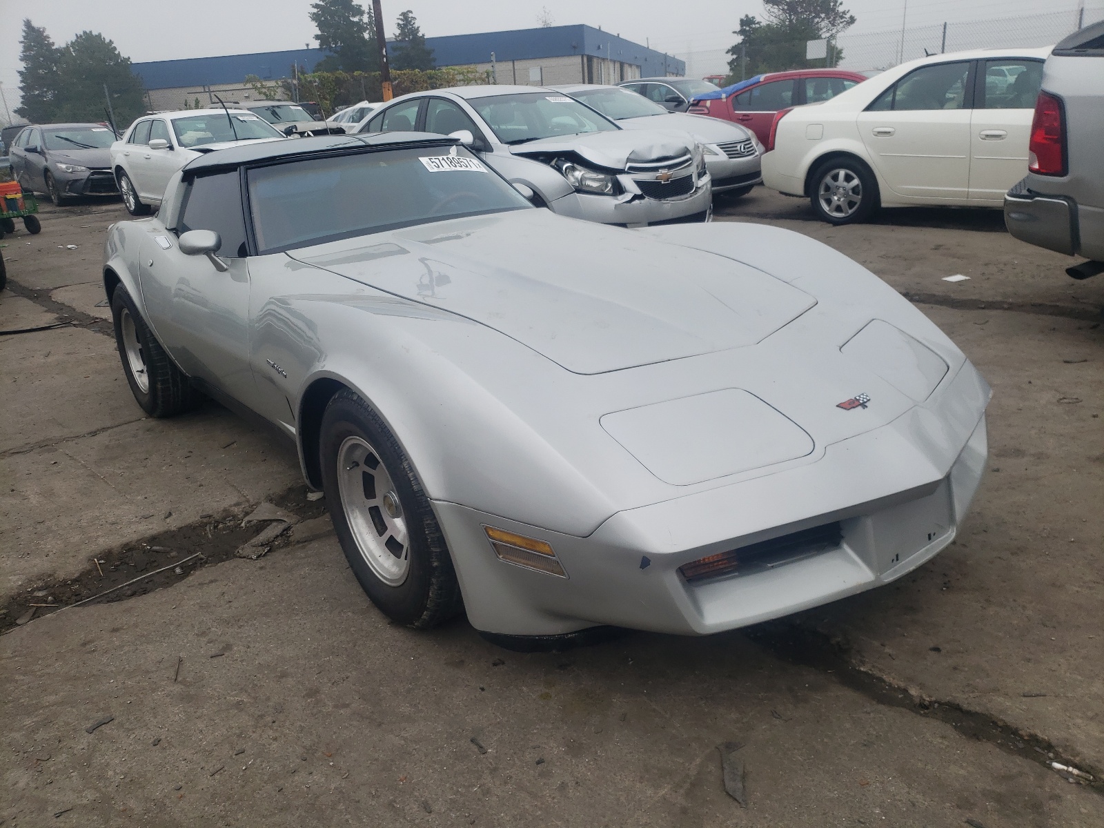Фото 1 с аукциона – 1982 CHEVROLET CORVETTE с VIN 1G1AY8781C5116444