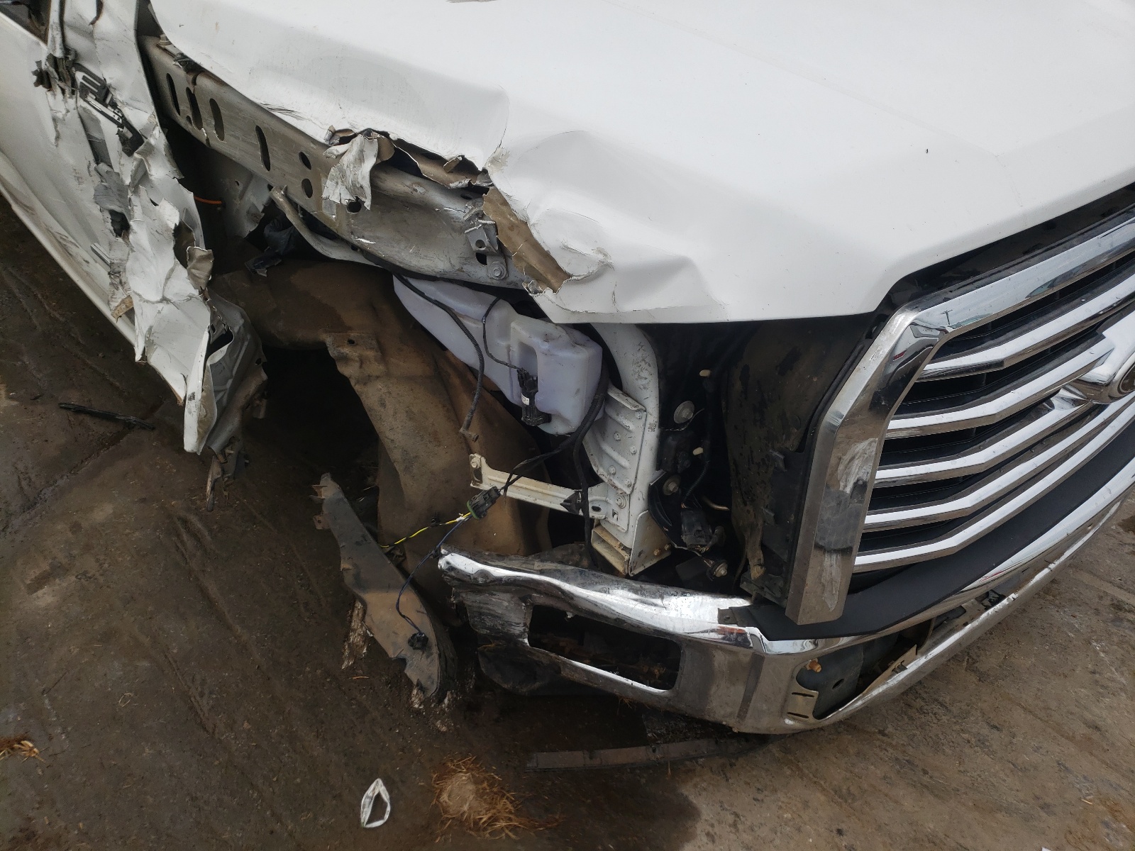 Photo 9 from auction – 2016 FORD F150 SUPER with VIN 1FTEW1CG1GFC16272