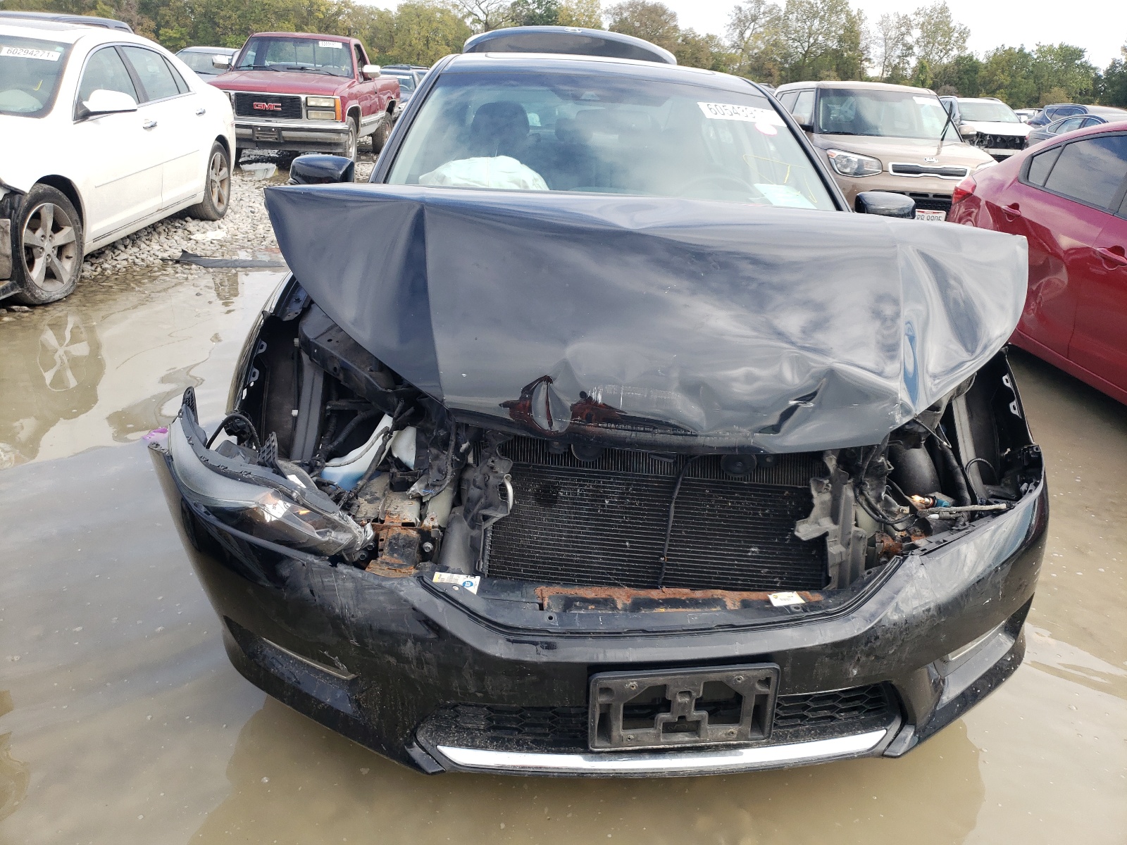 Photo 7 from auction – 2013 HONDA ACCORD EXL with VIN 1HGCR2F85DA157696