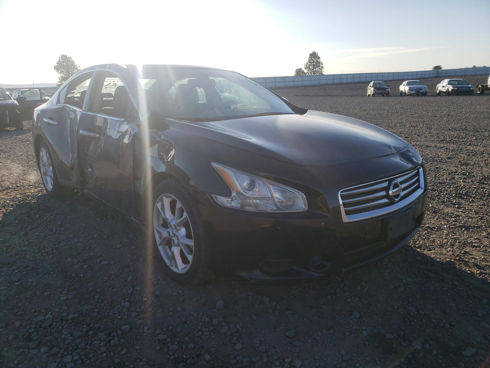 NISSAN MAXIMA S 2013 with VIN 1N4AA5AP0DC811527 - Photo from auction