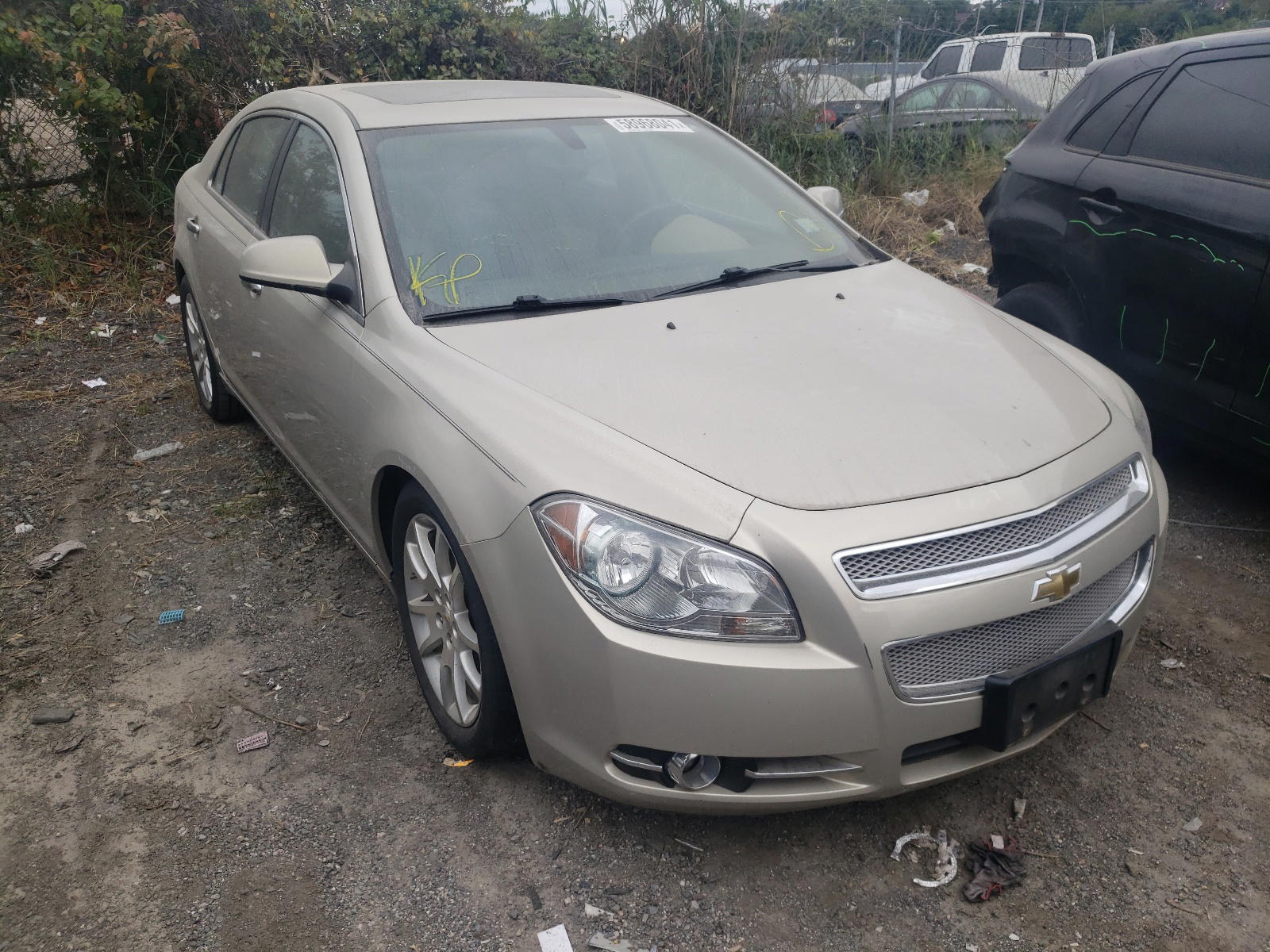 CHEVROLET MALIBU 2011 with VIN 1G1ZE5E15BF266257 - Photo from auction