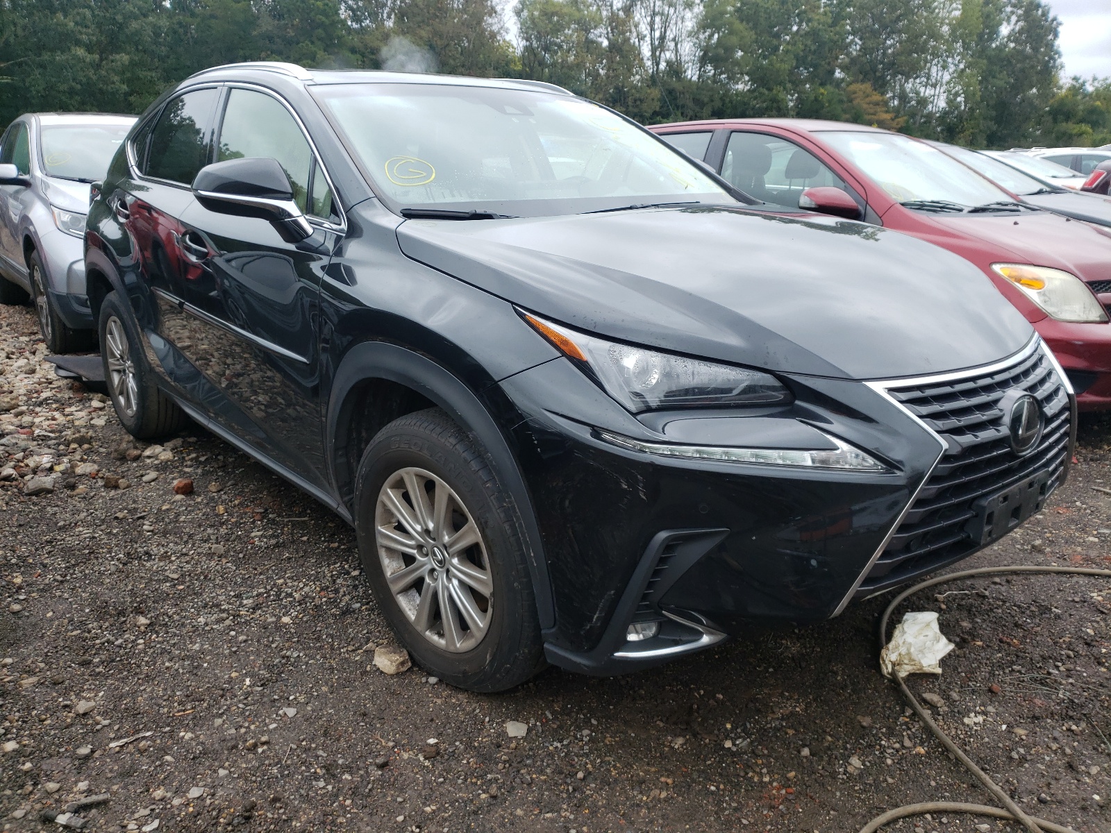 LEXUS NX 300 BAS 2019 with VIN JTJBARBZ5K2189139 - Photo from auction