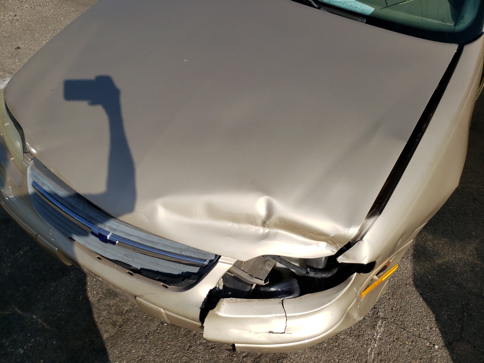 Photo 9 from auction – 2003 CHEVROLET MALIBU LS with VIN 1G1NE52J43M562175