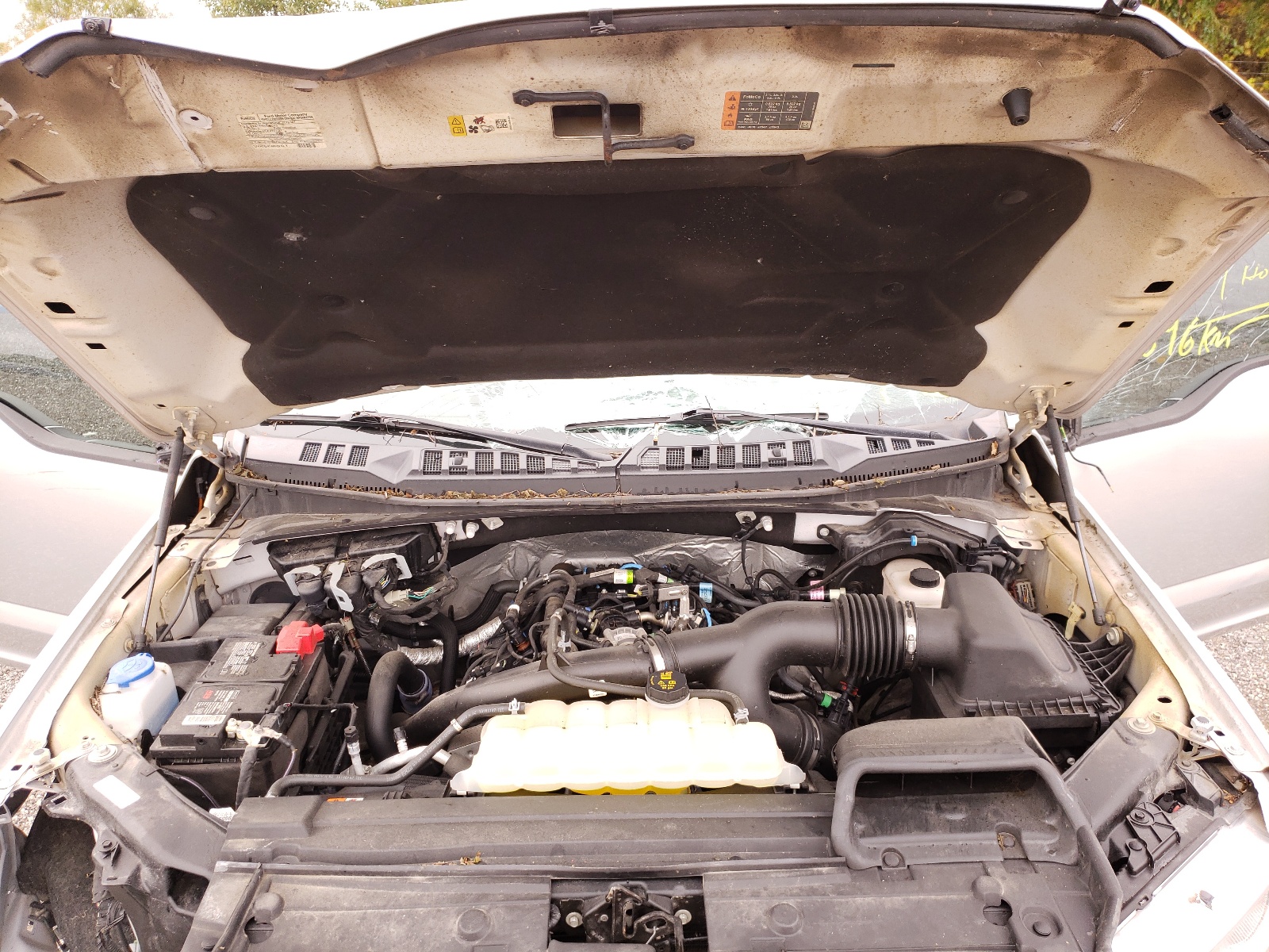 Photo 7 from auction – 2019 FORD F150 SUPER with VIN 1FTEW1EP6KFB67611