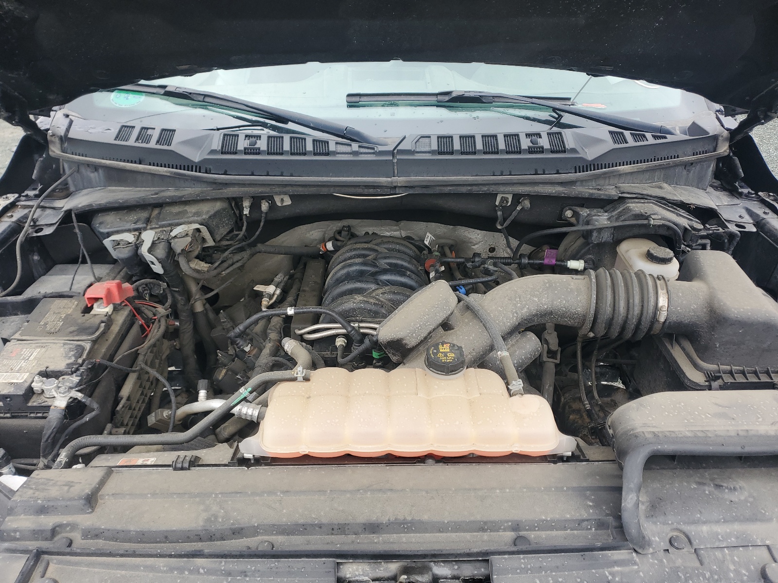 Photo 7 from auction – 2018 FORD F150 SUPER with VIN 1FTFW1E5XJFA22802