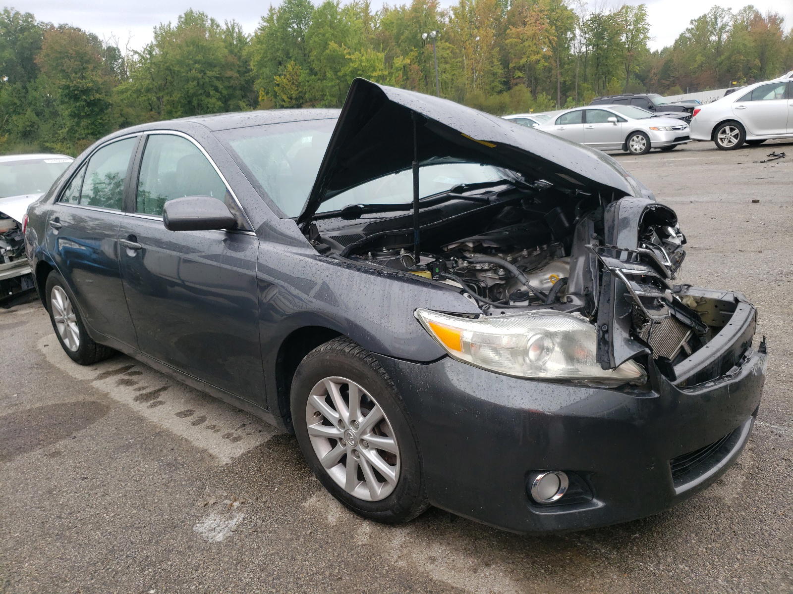 TOYOTA CAMRY BASE 2011 with VIN 4T1BF3EK4BU207128 - Photo from auction