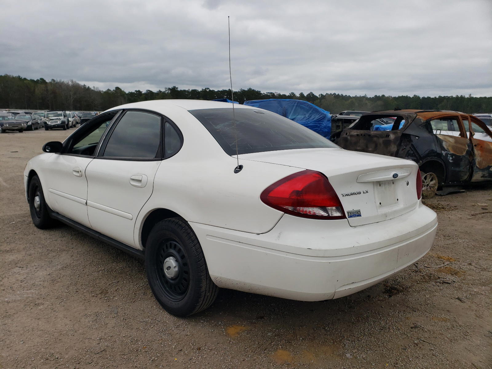 Photo 3 from auction – 2004 FORD TAURUS LX with VIN 1FAFP52204G179774