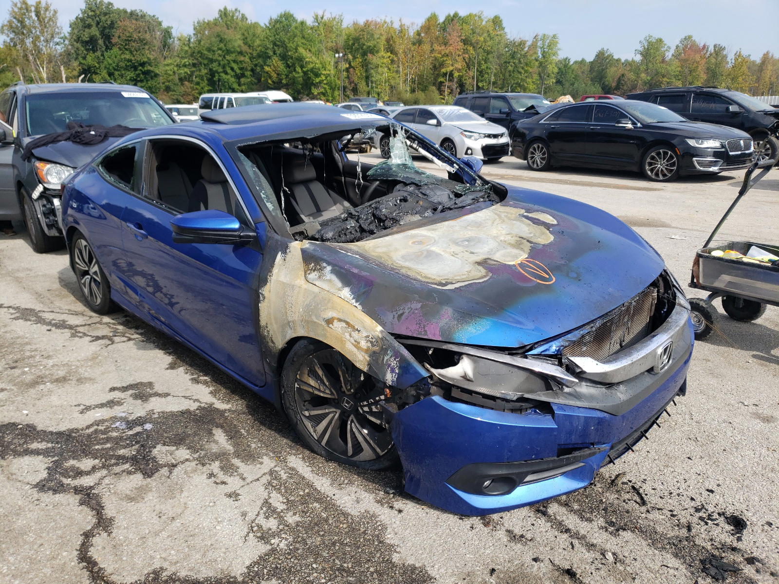 HONDA CIVIC EX 2016 with VIN 2HGFC3B35GH359104 - Photo from auction